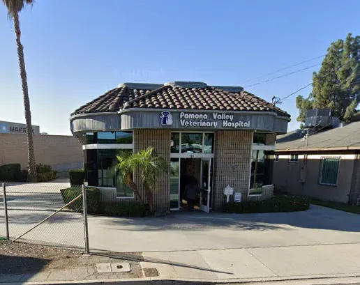 Veterinary Eye Clinic