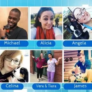 Jamaica Plain Animal Clinic