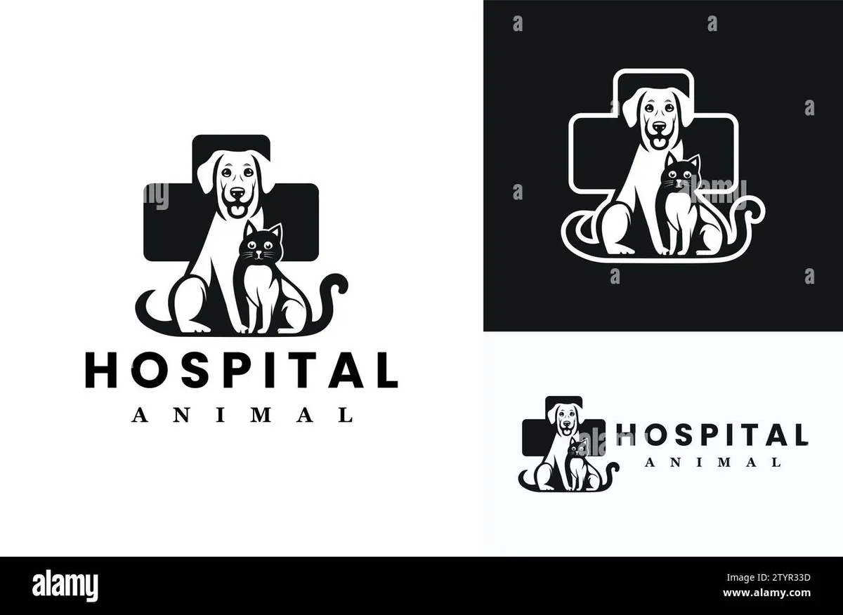 Dogs to Frogs Pet Sitting