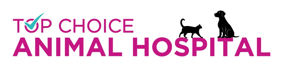 Top Choice Animal Hospital