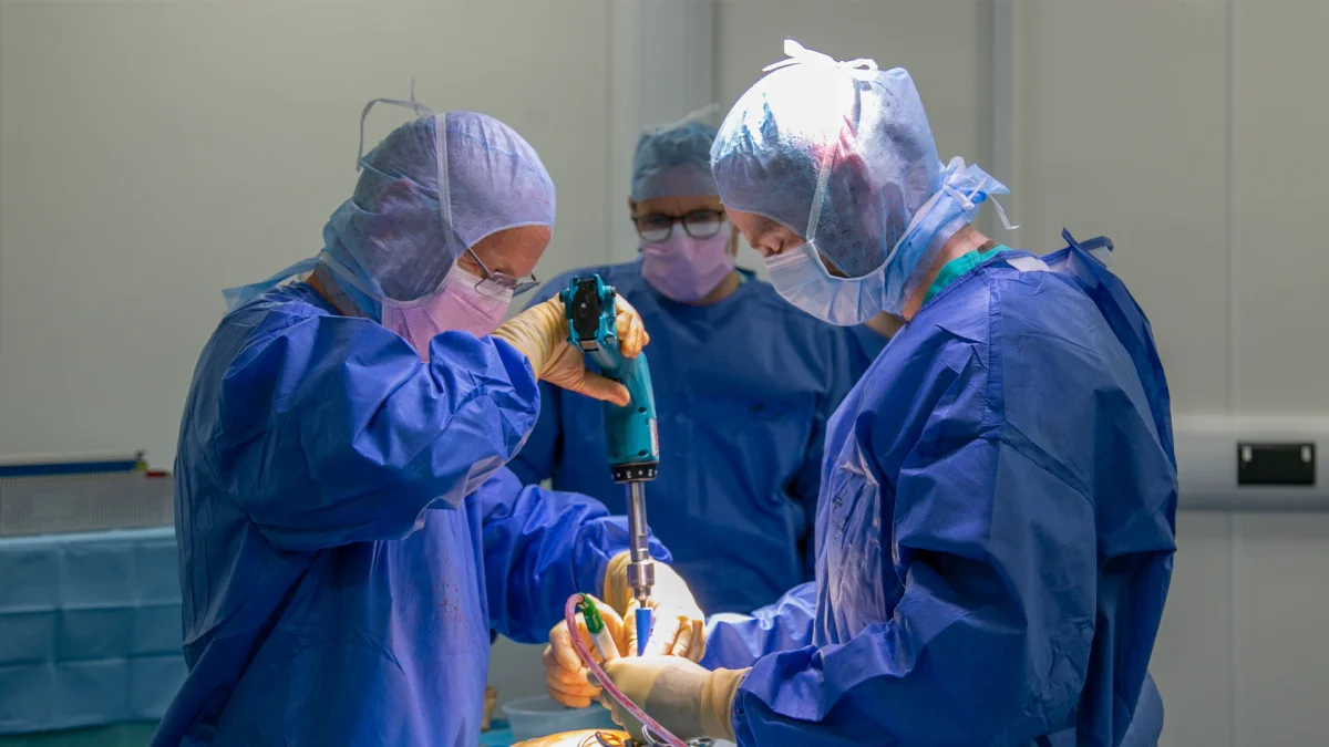 Earlswood Veterinary Hospital