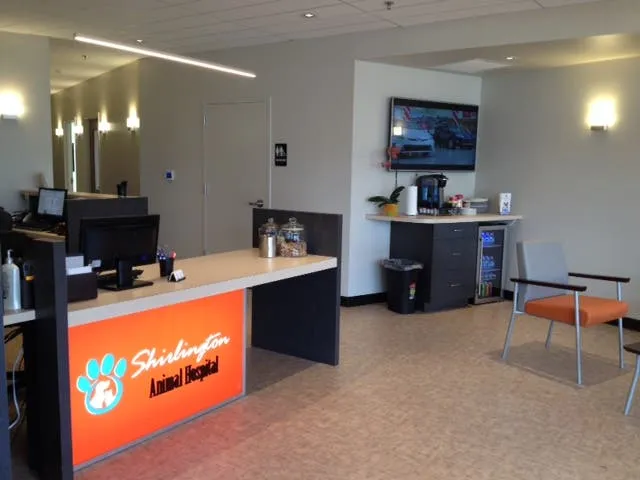 Shirlington Animal Hospital