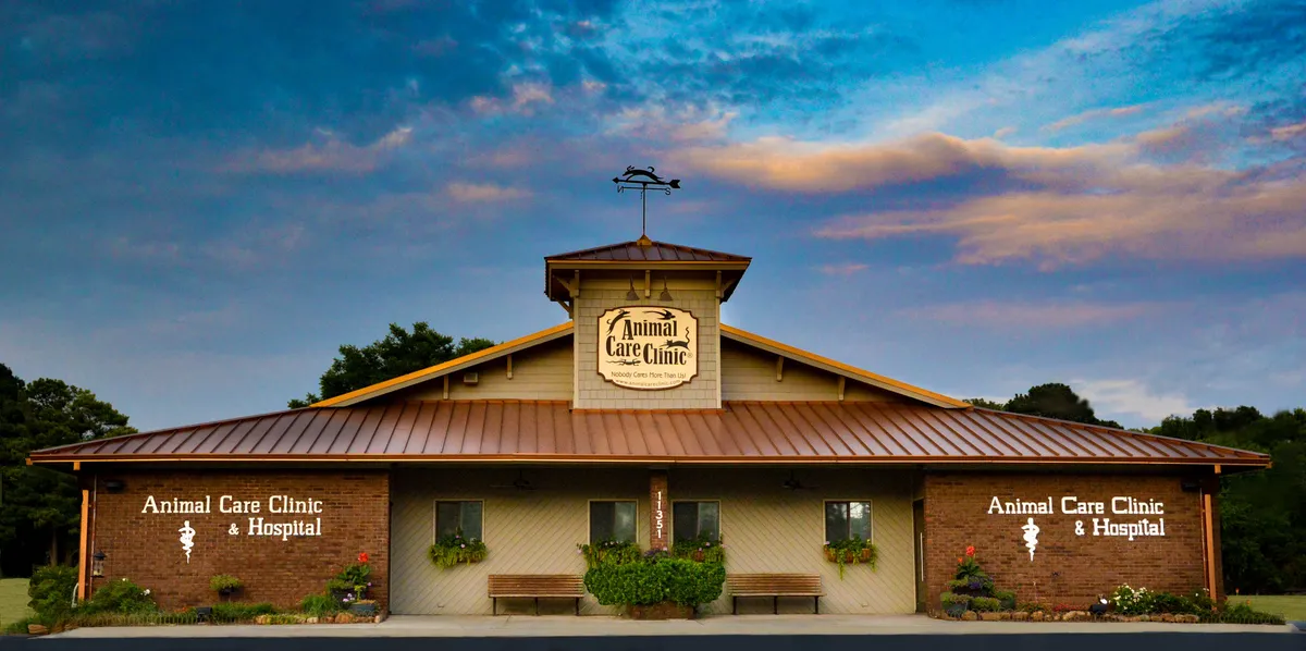 Care Animal Hospital