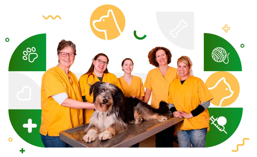 Ganzheitliche Tierarztpraxis Mosenheuer
