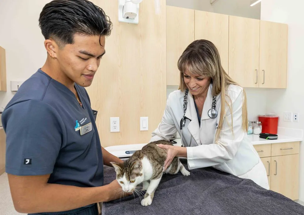 Promenade Veterinary Hospital