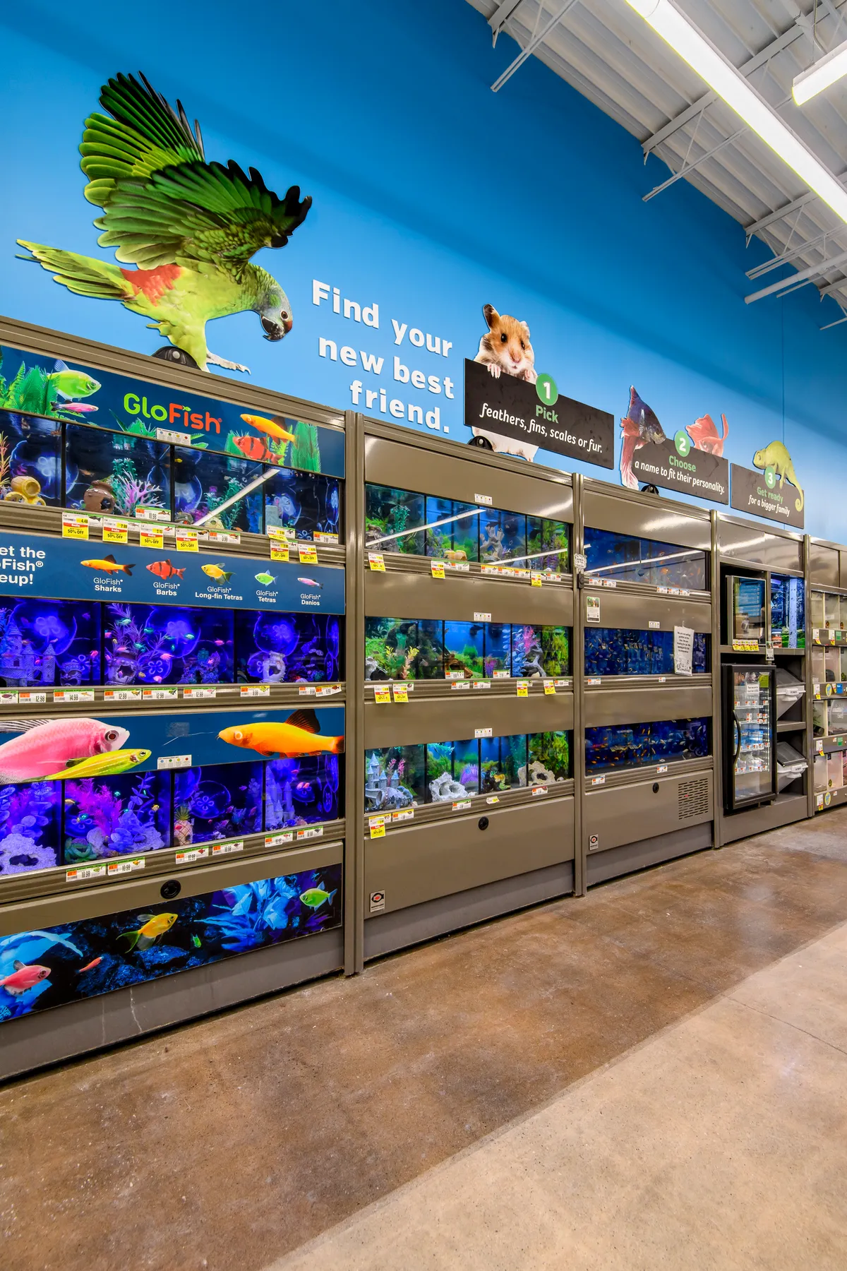 Pet Supplies Plus Neenah
