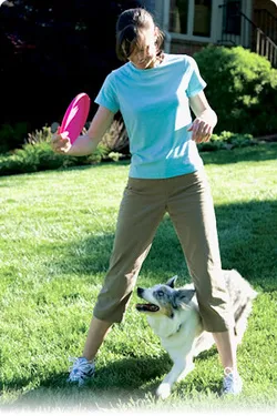 Invisible Fence Brand