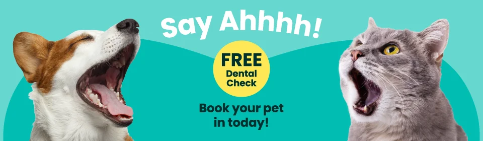 Town and Country Veterinary Services