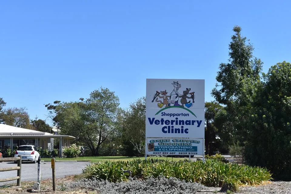 Shepparton Veterinary Clinic