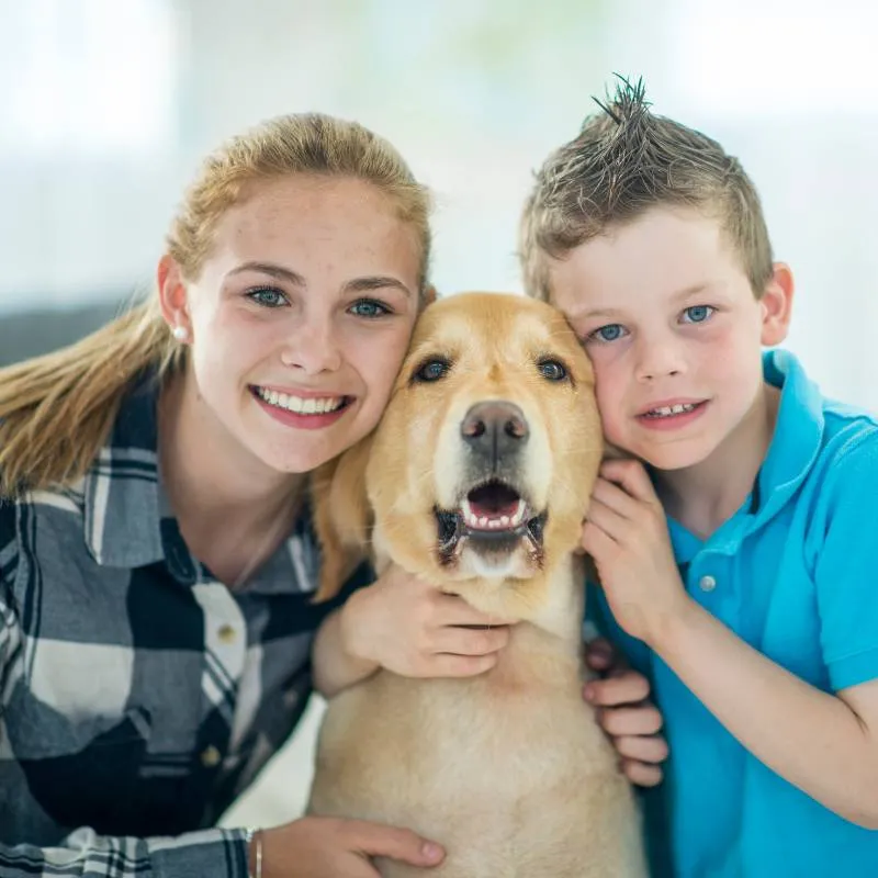 Boston Valley Animal Hosp