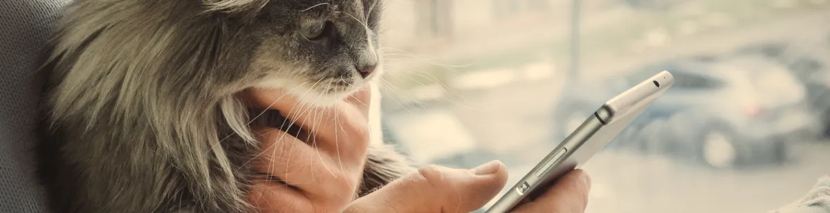 Broadview Animal Hospital of Rochester