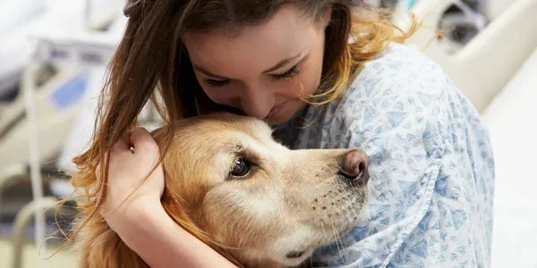 Prime Care Pet Hospital