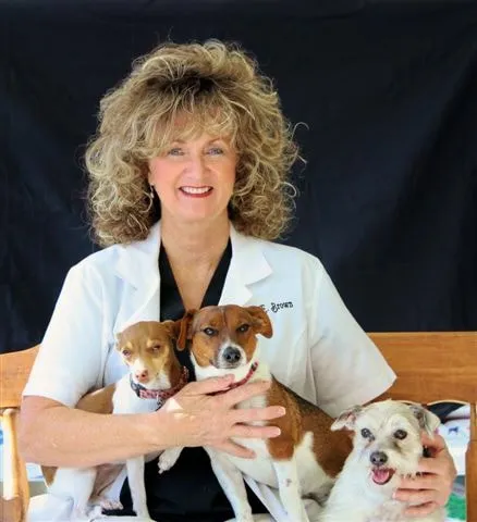 Dog & Cat Clinic & Laser Center