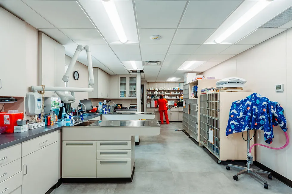 St. Francis Veterinary Clinic