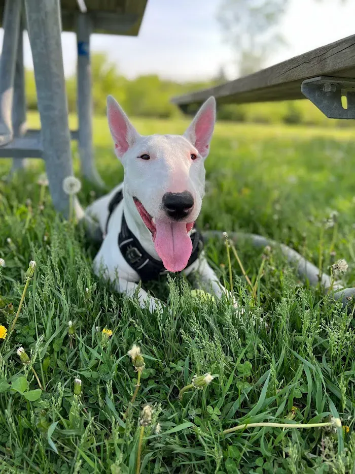 Dunkin Veterinary Hospital