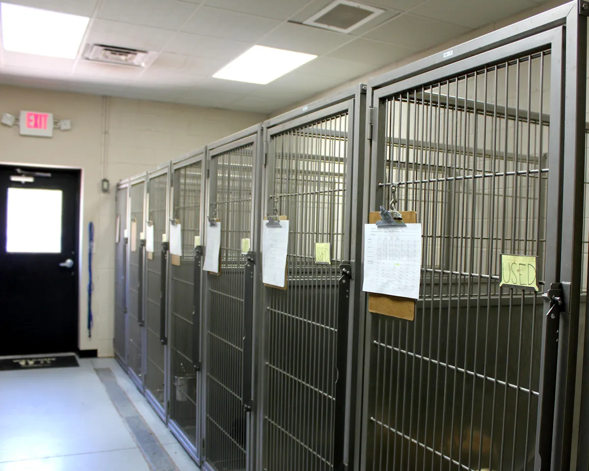 Brandywine Veterinary Hospital