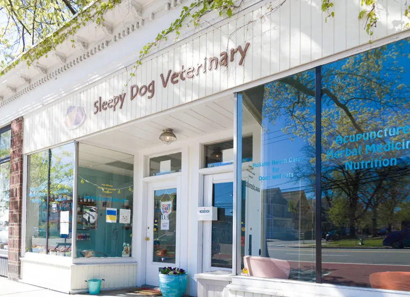 Sleepy Dog Veterinary