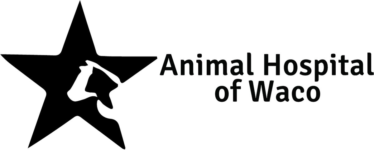 Animal Hospital of Waco