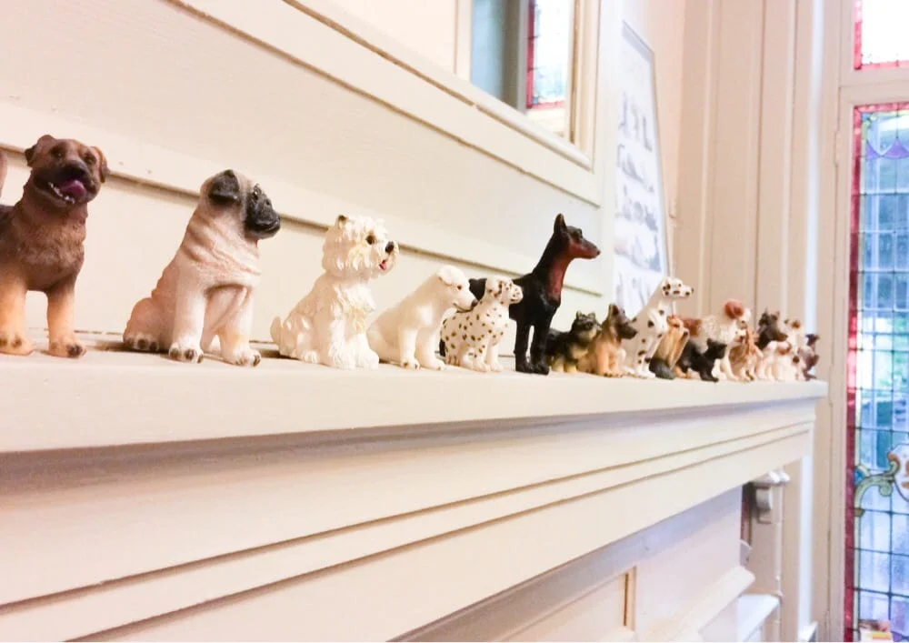 clinique vétérinaire de lille st maurice