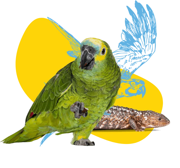 The Unusual Pet Vets Chermside