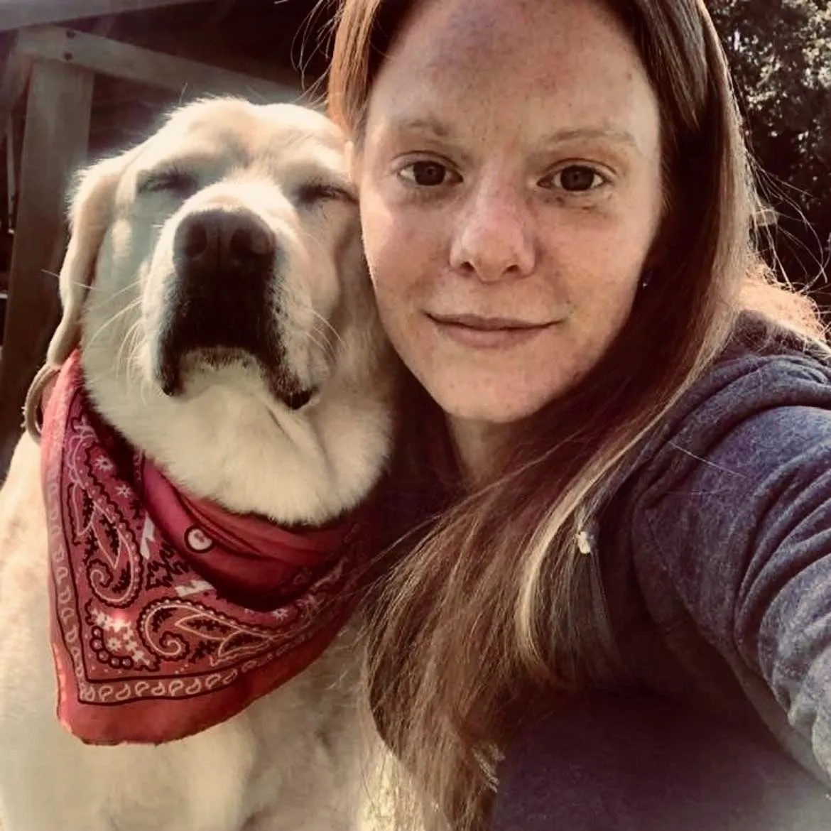 Scratch N' Sniff Pet Services