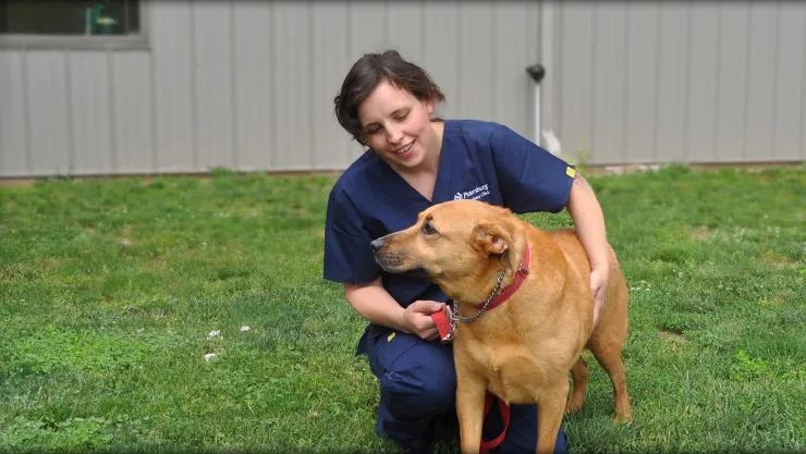 Divinity Dog Training and Boarding