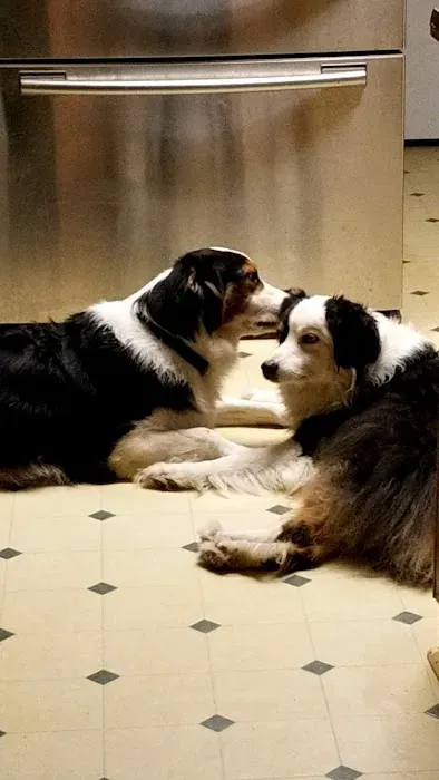 North Florida Neurology