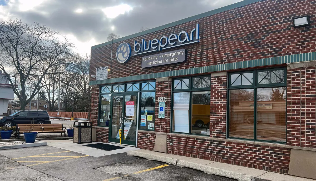 BluePearl - Skokie
