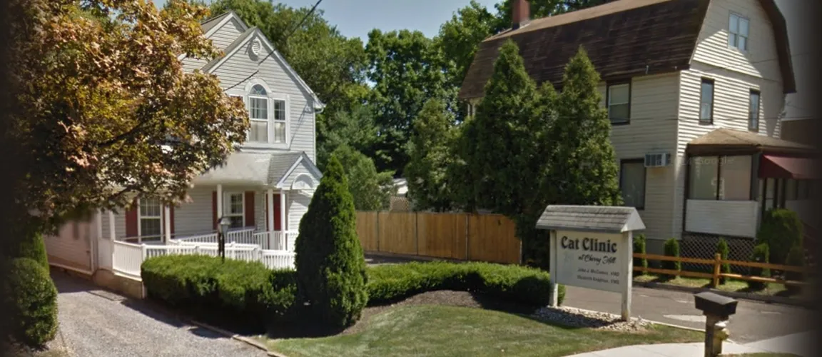 Cat Clinic At Cherry Hill