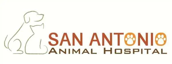 San Antonio Animal Hospital