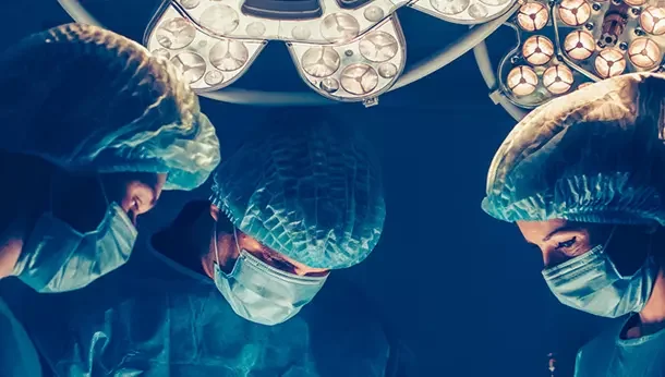 Anne Longueville-Zucchi