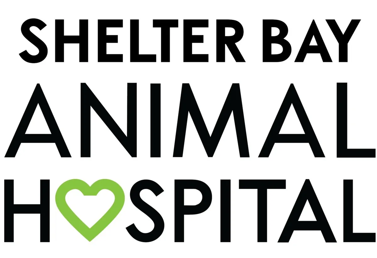 Bay Animal Hospital