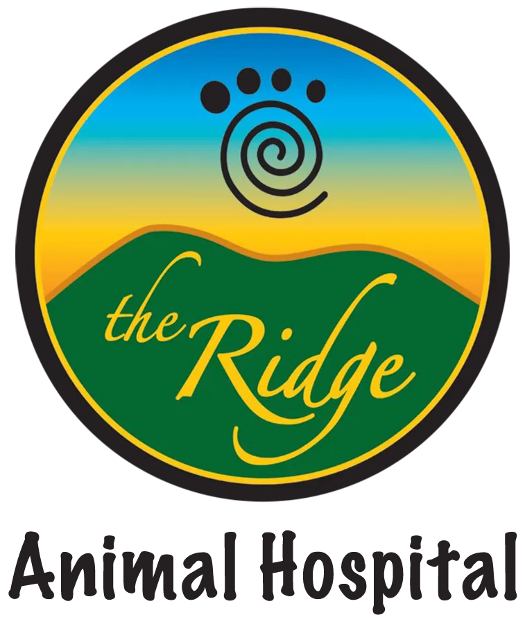 Desert Ridge Animal Hospital