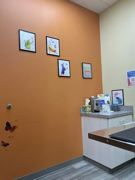 Vetcheck Pet Urgent Care Center