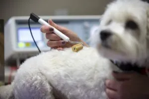 Countrycare Animal Complex