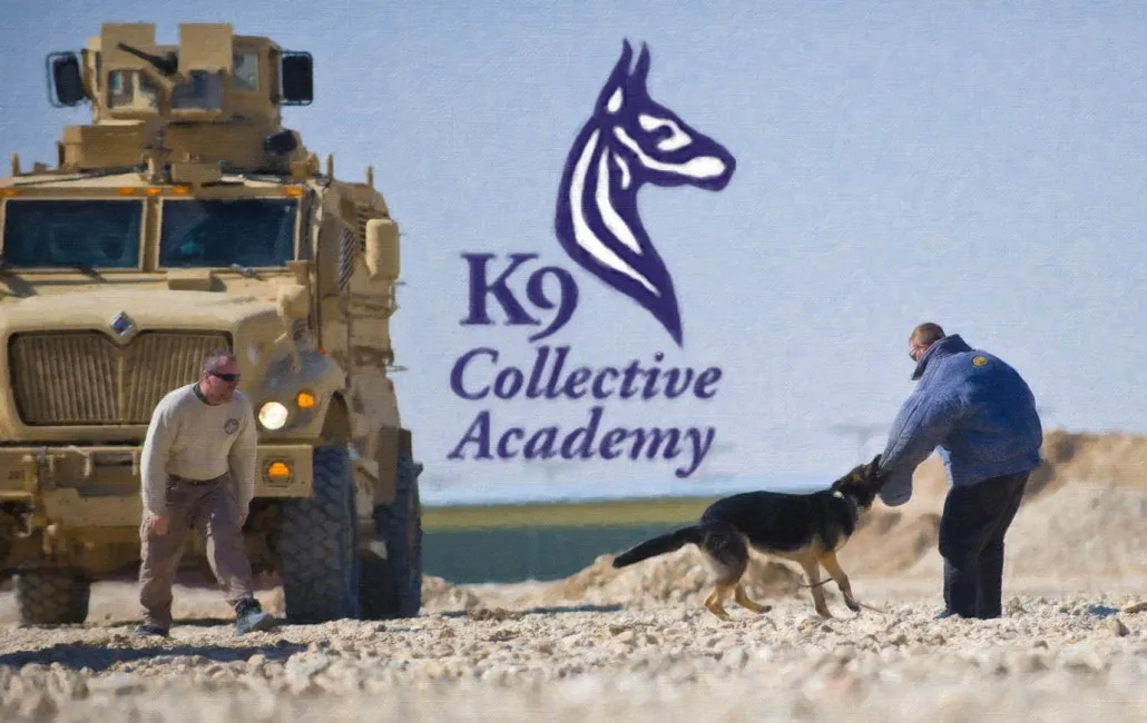 KC-K9 Academy Dog Training