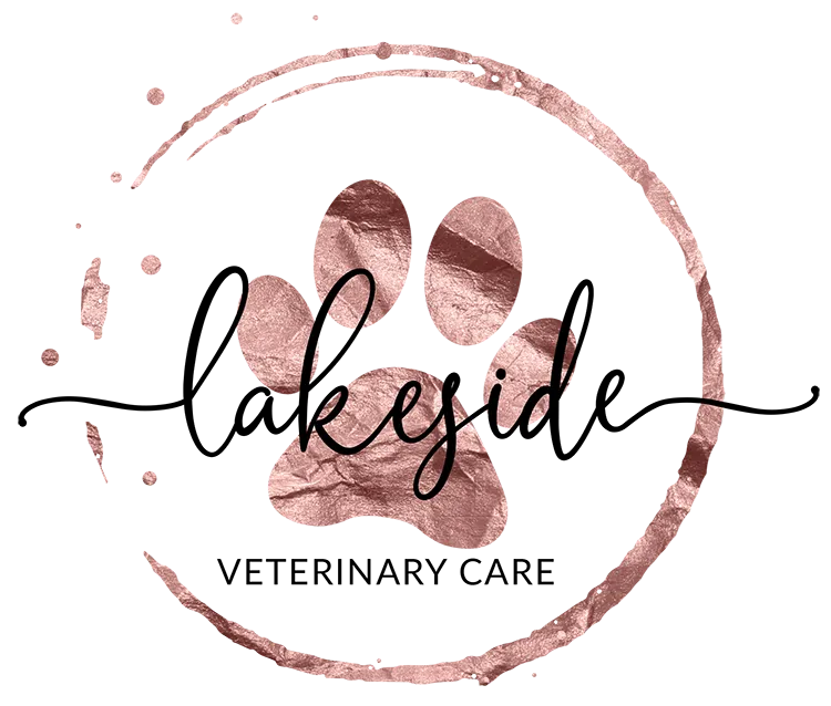 Lakeside Veterinary Care