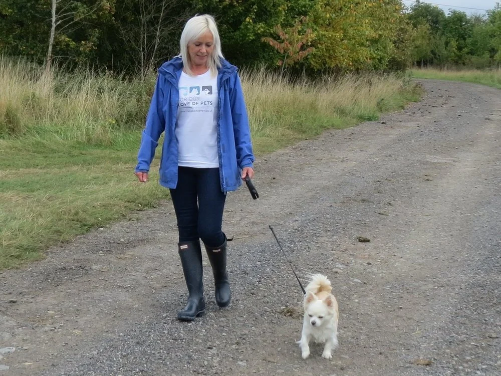 For Our Love of Pets