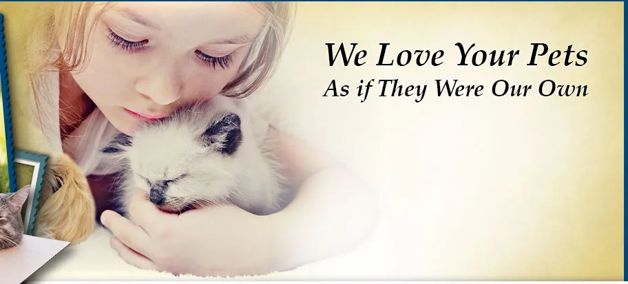 Ivy Hill Animal Hospital