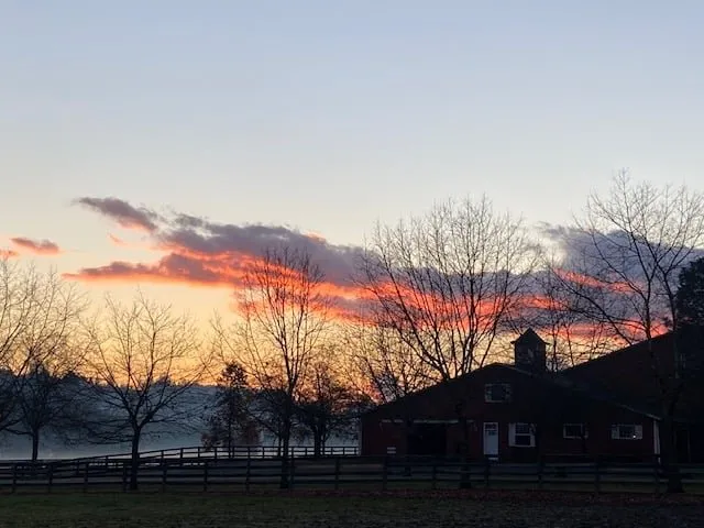 Oakhurst Equine Veterinary Services