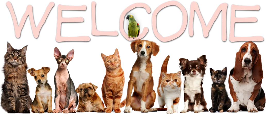 Griffin Road Animal Clinic