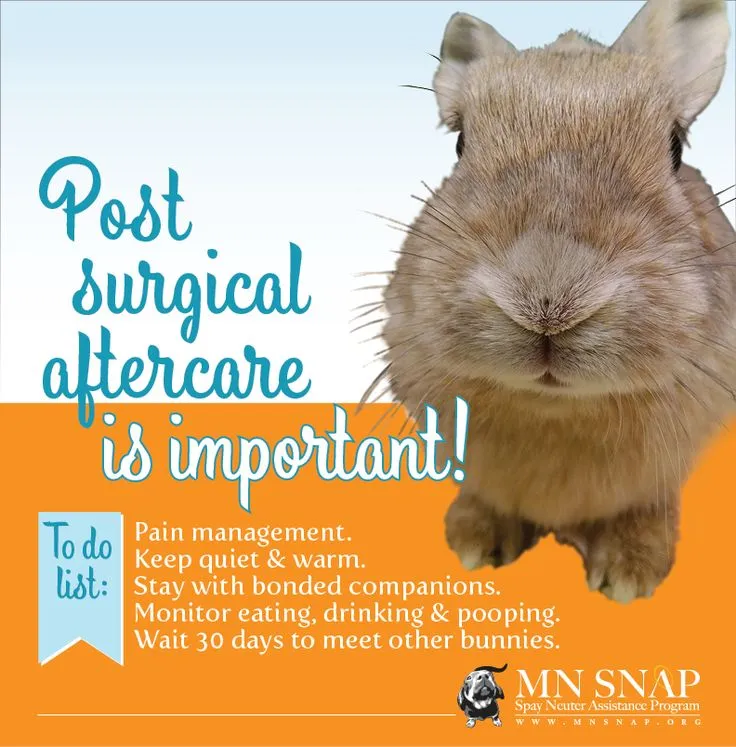 Minnesota Spay Neuter Assistance Program