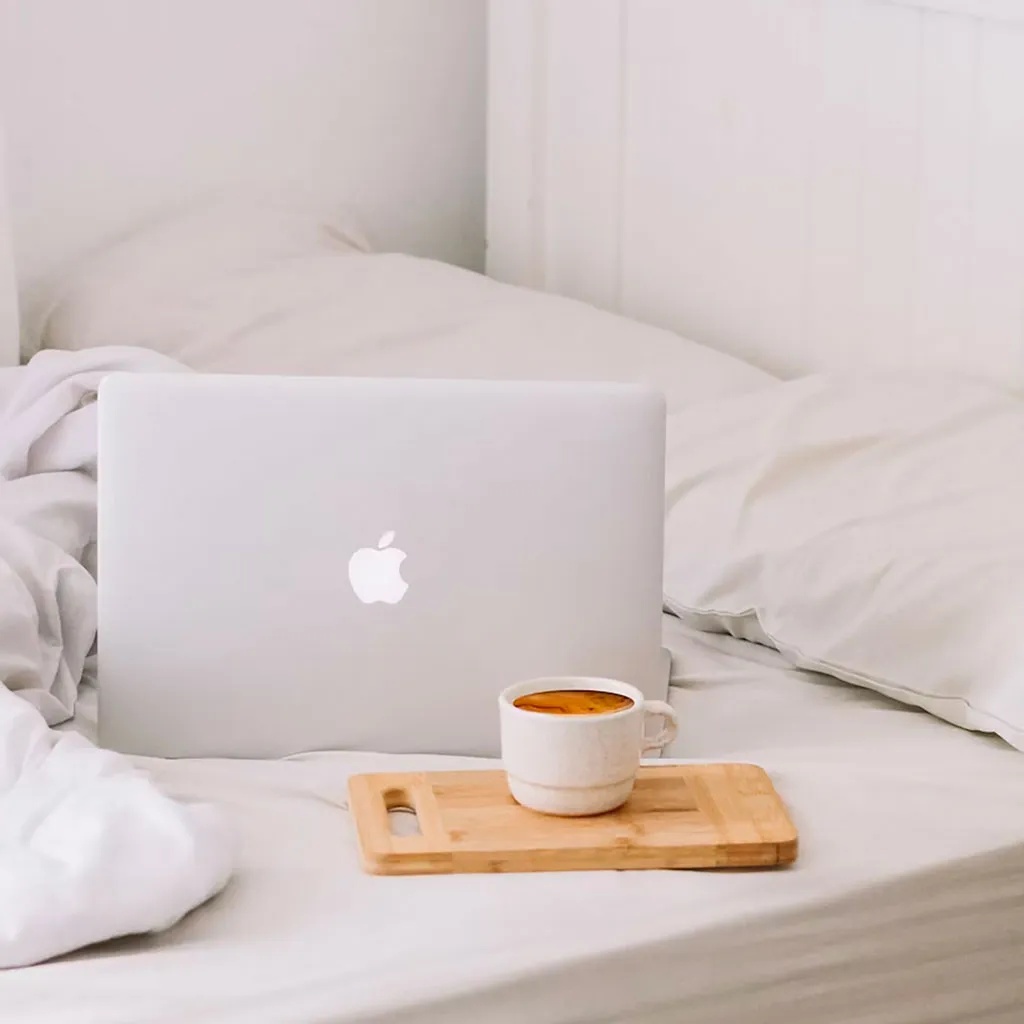 No Worries Petsitting