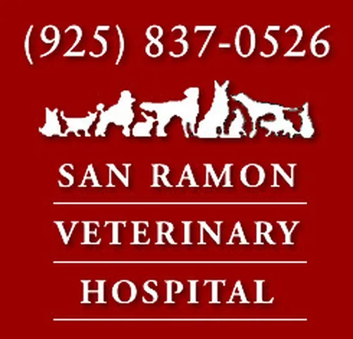 San Ramon Veterinary Hospital