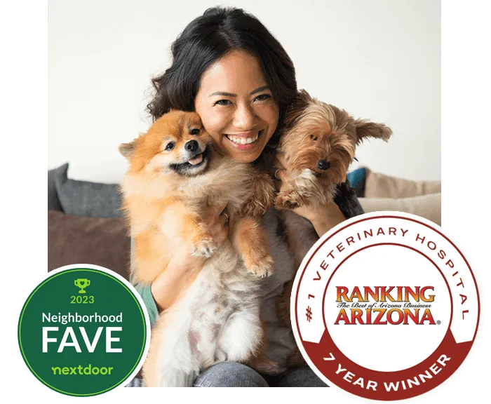 Dermatology for Animals - Scottsdale