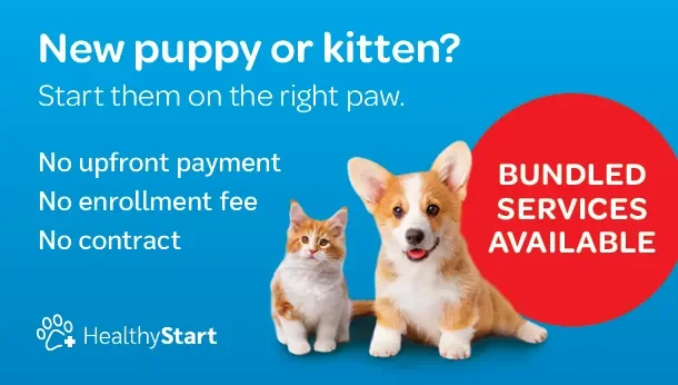 Cranston Veterinary Hospital