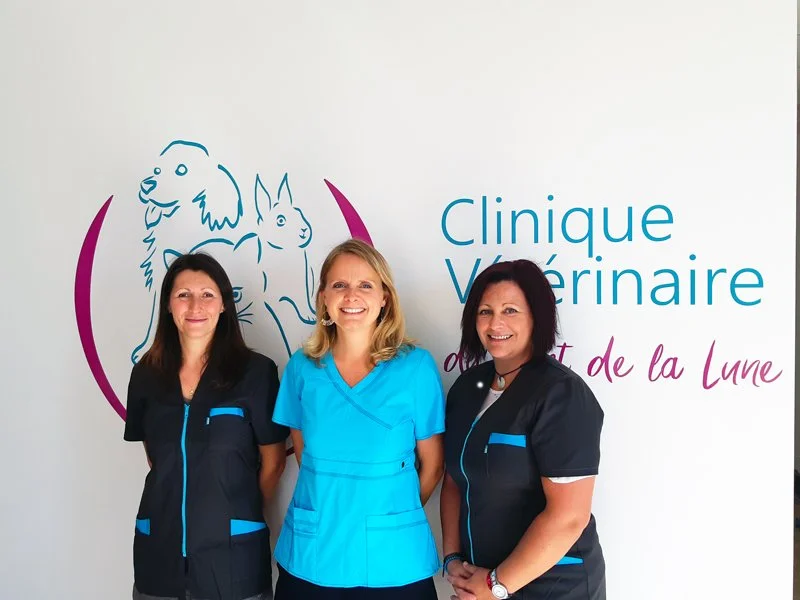 Clinique Vétérinaire du Port de la Lune