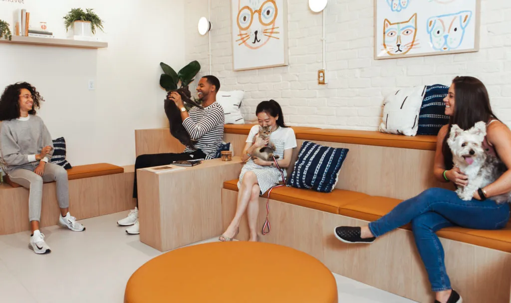 Friendly, Compassionate Primary & Urgent Care For Pets