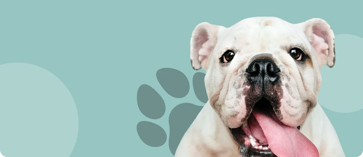 Park Veterinary Clinic