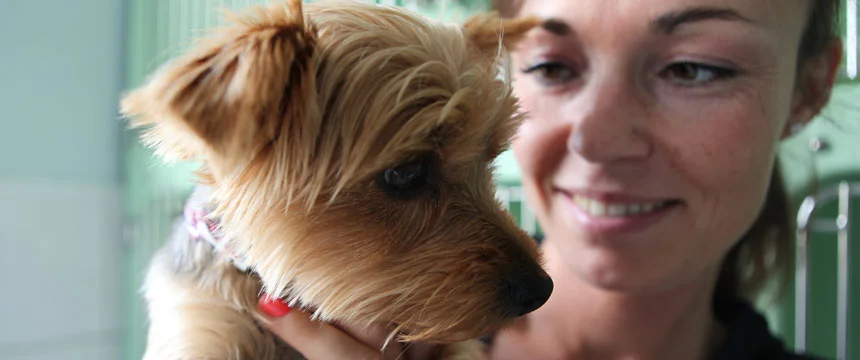 Tierärtzliche Gemeinschaftspraxis Schumacher & Kirchner